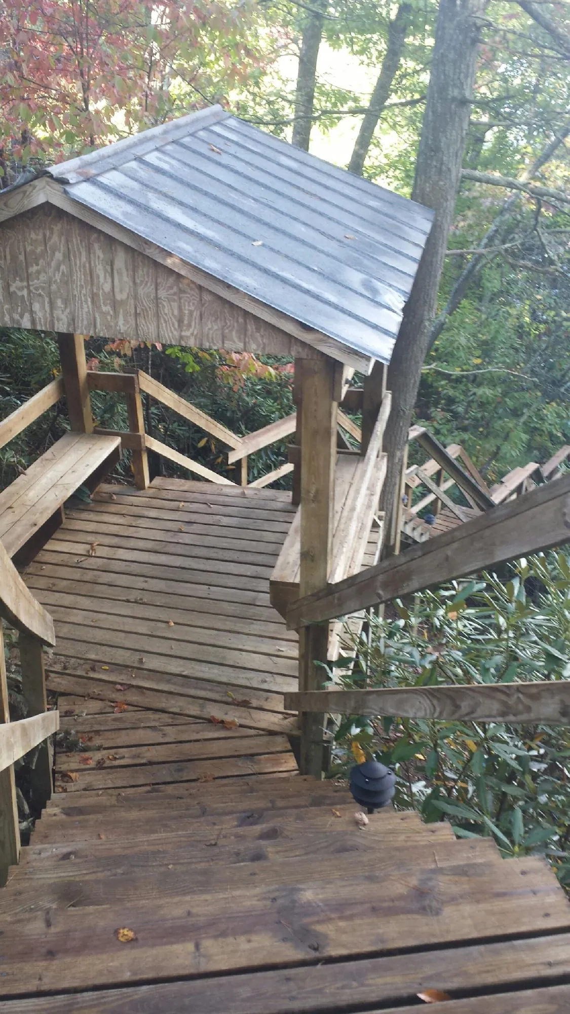 Metal roofed shelter over wooden steps on a wooded walkway — Skylight Repair & Installation work by our crew in Reed Point